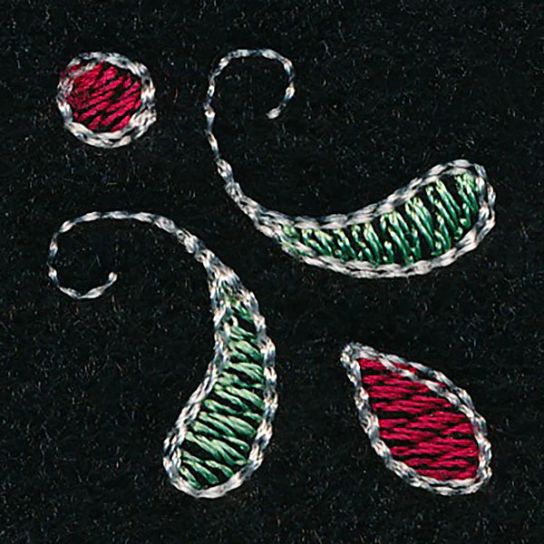 Thumbnail 5